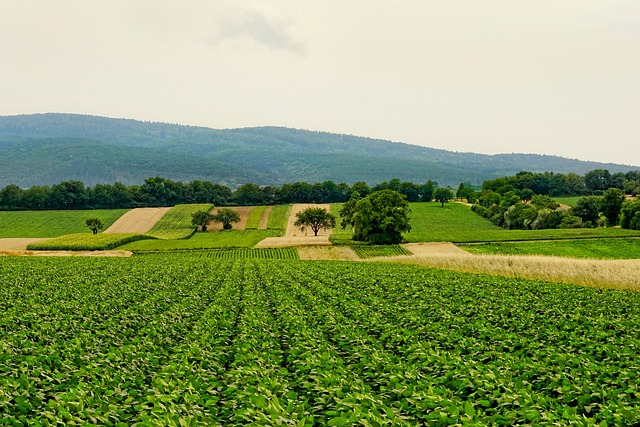 agriculture